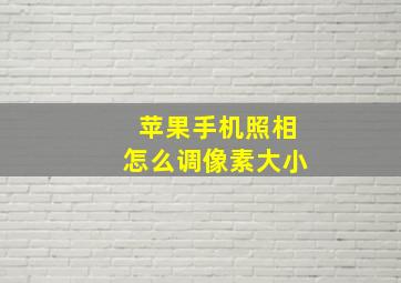 苹果手机照相怎么调像素大小