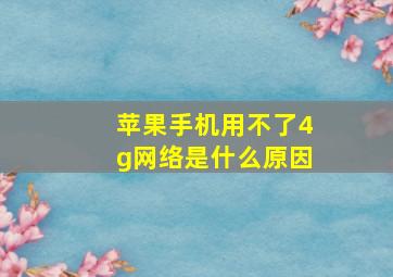 苹果手机用不了4g网络是什么原因