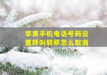 苹果手机电话号码设置呼叫转移怎么取消