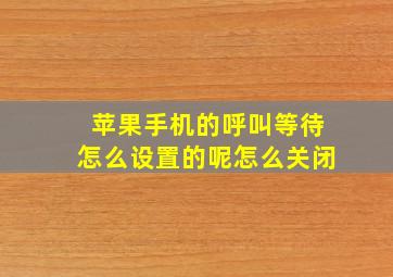 苹果手机的呼叫等待怎么设置的呢怎么关闭