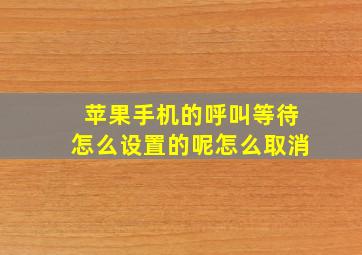 苹果手机的呼叫等待怎么设置的呢怎么取消