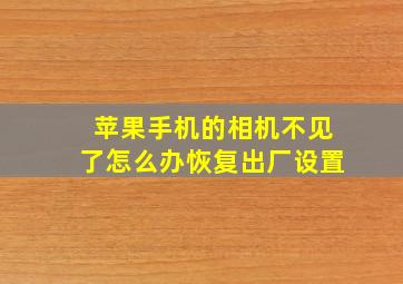 苹果手机的相机不见了怎么办恢复出厂设置