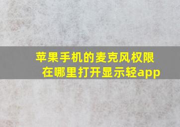 苹果手机的麦克风权限在哪里打开显示轻app