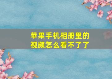 苹果手机相册里的视频怎么看不了了