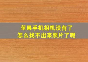 苹果手机相机没有了怎么找不出来照片了呢