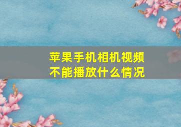 苹果手机相机视频不能播放什么情况