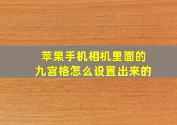 苹果手机相机里面的九宫格怎么设置出来的