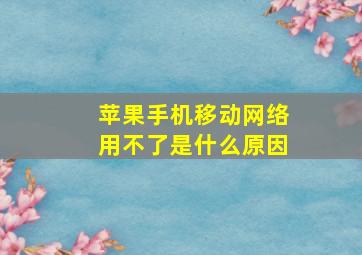 苹果手机移动网络用不了是什么原因