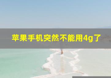 苹果手机突然不能用4g了