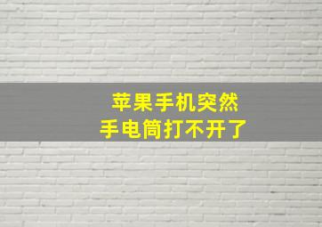 苹果手机突然手电筒打不开了