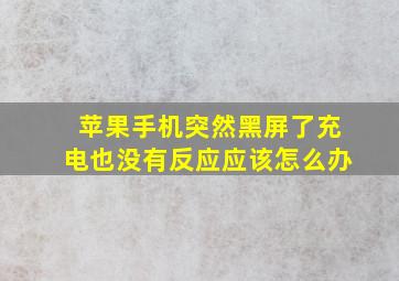 苹果手机突然黑屏了充电也没有反应应该怎么办