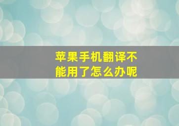 苹果手机翻译不能用了怎么办呢