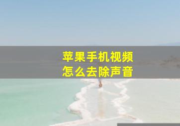 苹果手机视频怎么去除声音