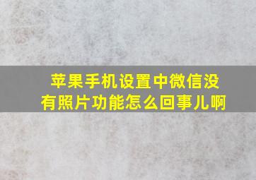 苹果手机设置中微信没有照片功能怎么回事儿啊