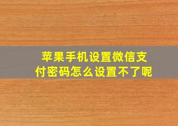 苹果手机设置微信支付密码怎么设置不了呢