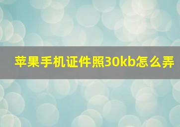 苹果手机证件照30kb怎么弄