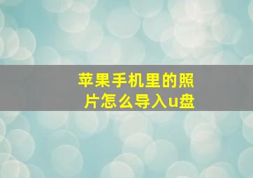 苹果手机里的照片怎么导入u盘