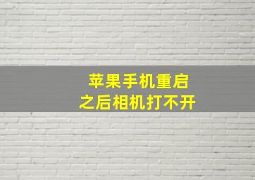 苹果手机重启之后相机打不开