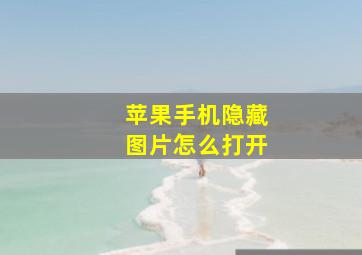 苹果手机隐藏图片怎么打开