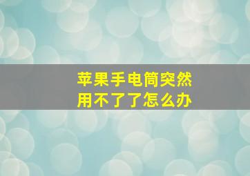 苹果手电筒突然用不了了怎么办