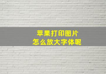 苹果打印图片怎么放大字体呢