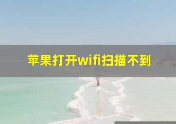 苹果打开wifi扫描不到