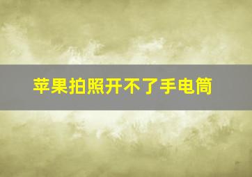 苹果拍照开不了手电筒