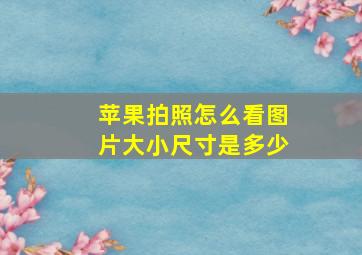 苹果拍照怎么看图片大小尺寸是多少