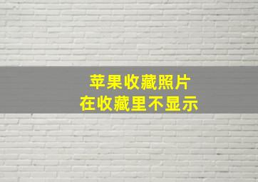 苹果收藏照片在收藏里不显示