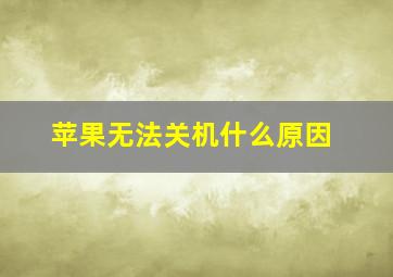 苹果无法关机什么原因