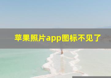 苹果照片app图标不见了