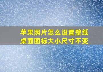 苹果照片怎么设置壁纸桌面图标大小尺寸不变