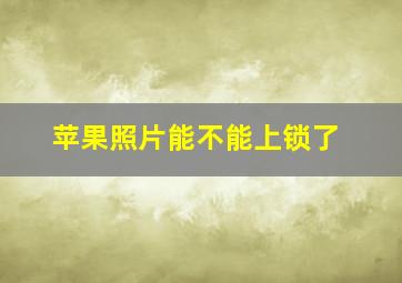 苹果照片能不能上锁了