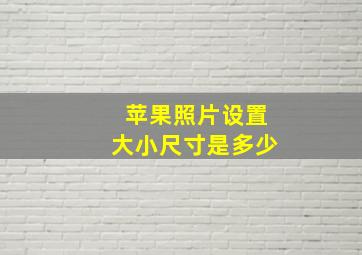 苹果照片设置大小尺寸是多少