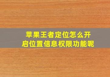 苹果王者定位怎么开启位置信息权限功能呢