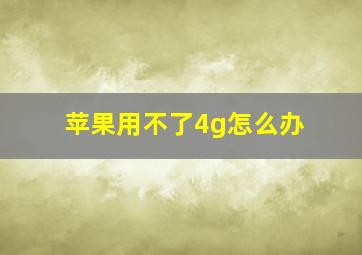 苹果用不了4g怎么办