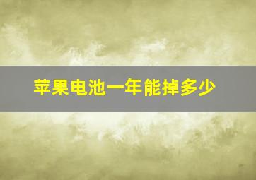 苹果电池一年能掉多少