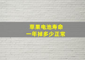 苹果电池寿命一年掉多少正常