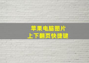 苹果电脑图片上下翻页快捷键