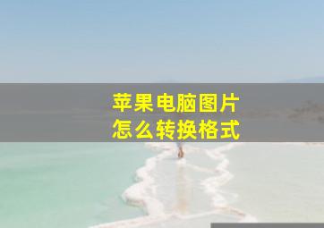 苹果电脑图片怎么转换格式