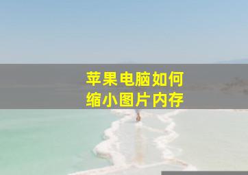 苹果电脑如何缩小图片内存