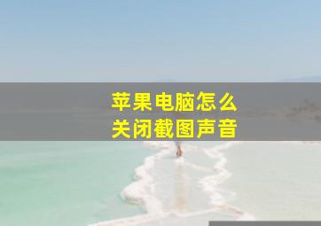 苹果电脑怎么关闭截图声音