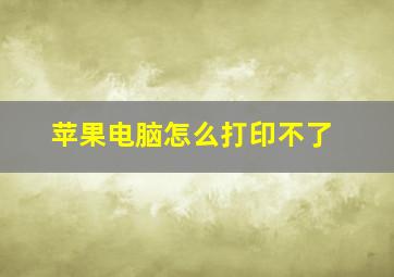 苹果电脑怎么打印不了