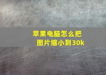 苹果电脑怎么把图片缩小到30k