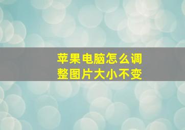 苹果电脑怎么调整图片大小不变