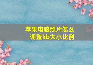 苹果电脑照片怎么调整kb大小比例