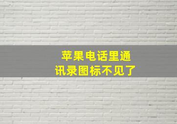 苹果电话里通讯录图标不见了