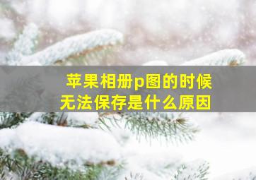 苹果相册p图的时候无法保存是什么原因