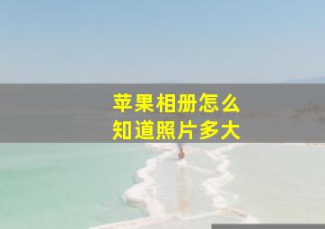 苹果相册怎么知道照片多大