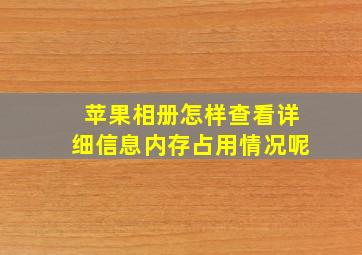 苹果相册怎样查看详细信息内存占用情况呢